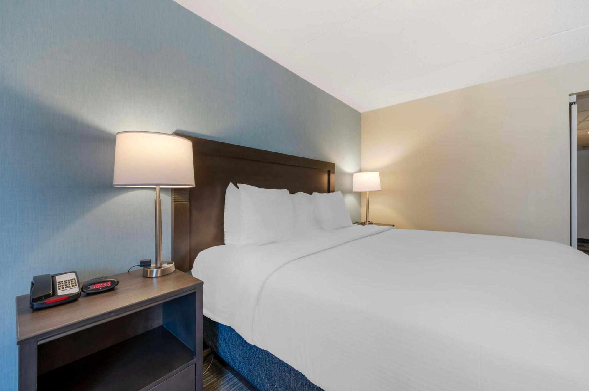 Best Western Plus Alexandria Fort Belvoir Mount Vernon Exterior foto